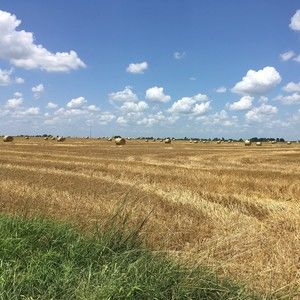 Meet your Posher, Louise